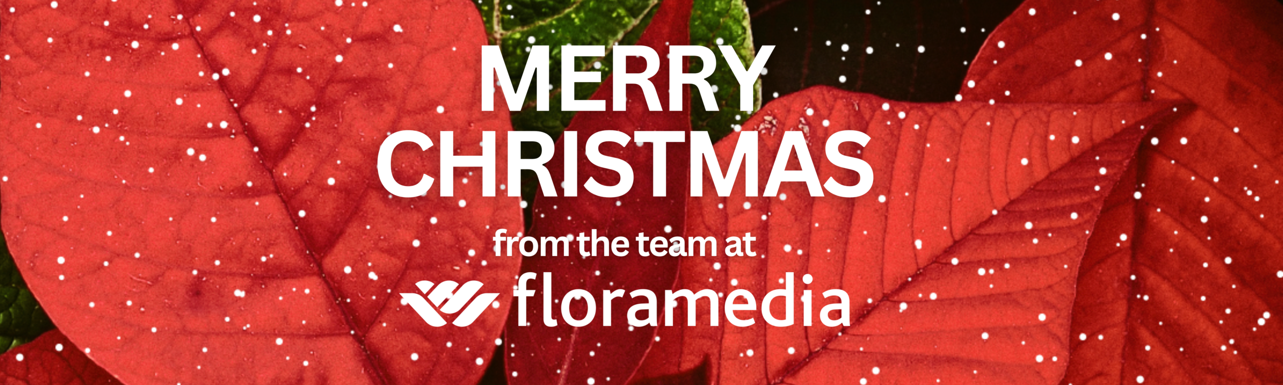 Festive Opening Hours 2025