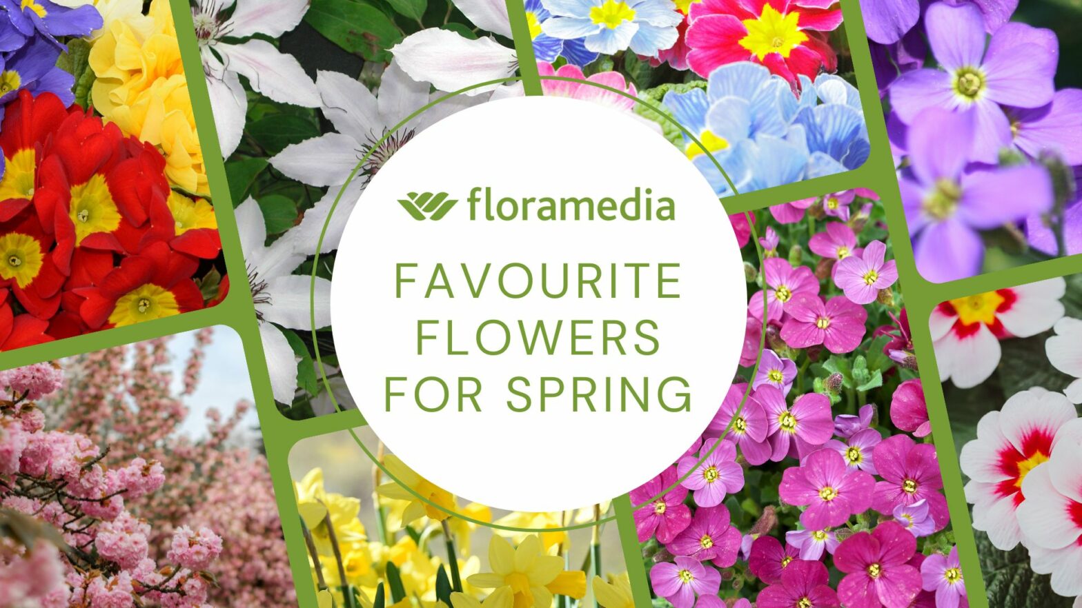 Favourite Flowers for Spring