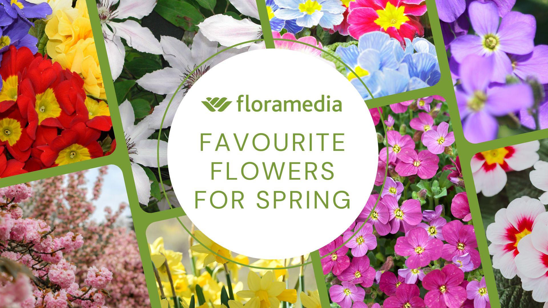Favourite Flowers for Spring
