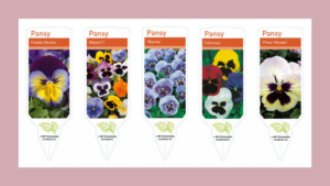 Pansies Labels